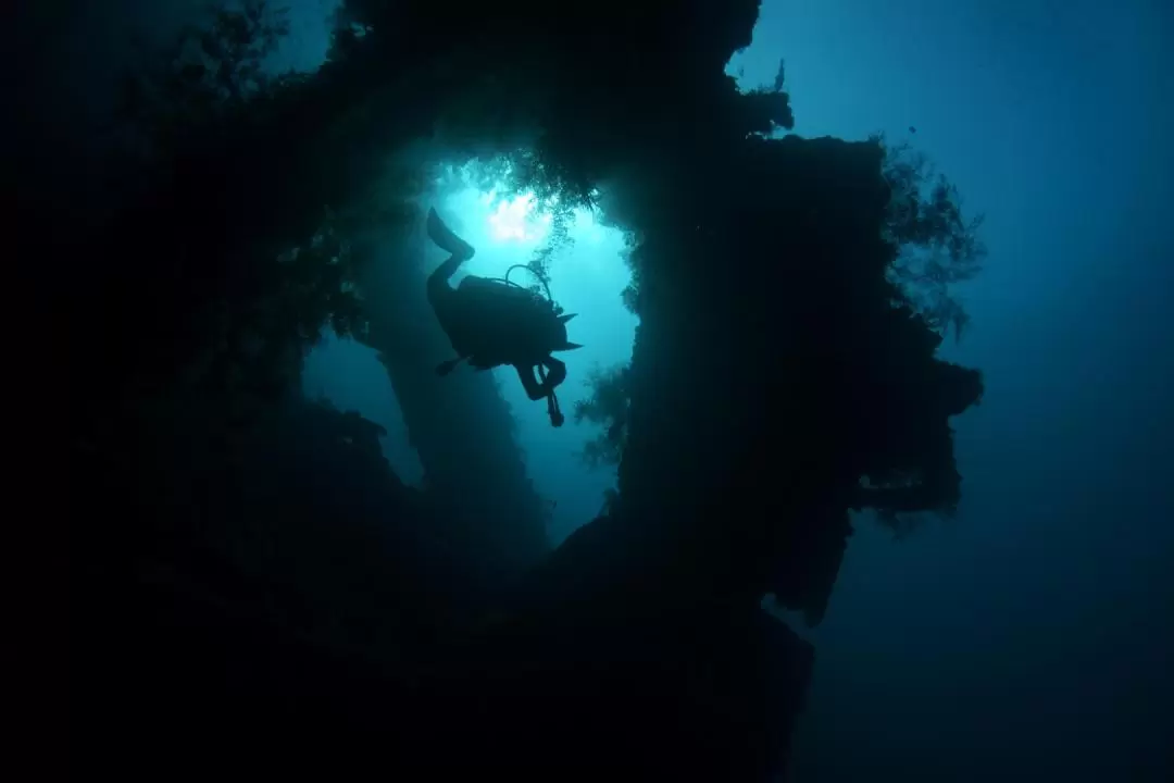 2 dives at USAT Liberty Wreck Tulamben with PADI 5 Star Dive Resort