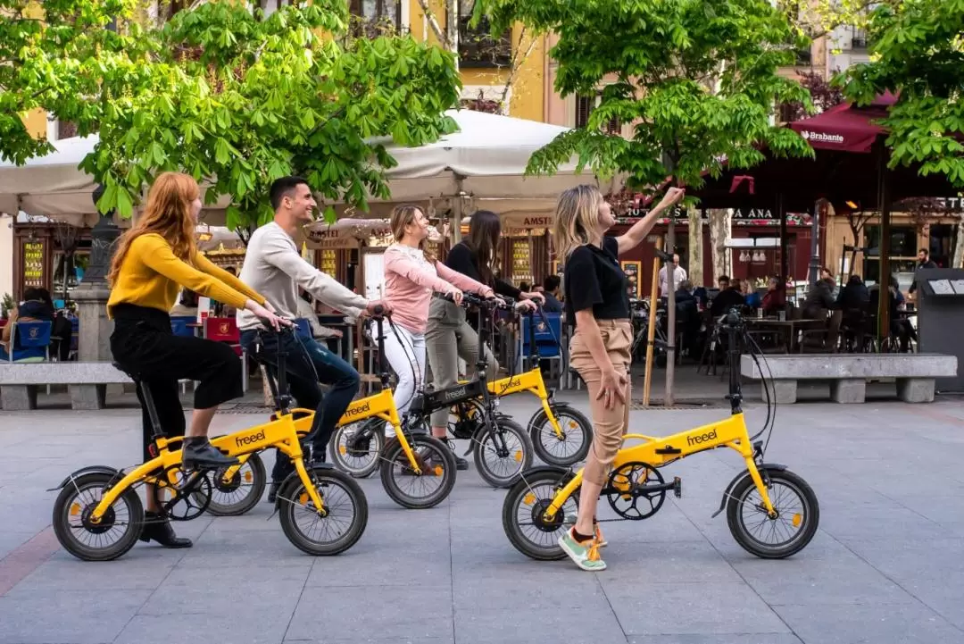 Madrid E-bike Guided Park & City Tour