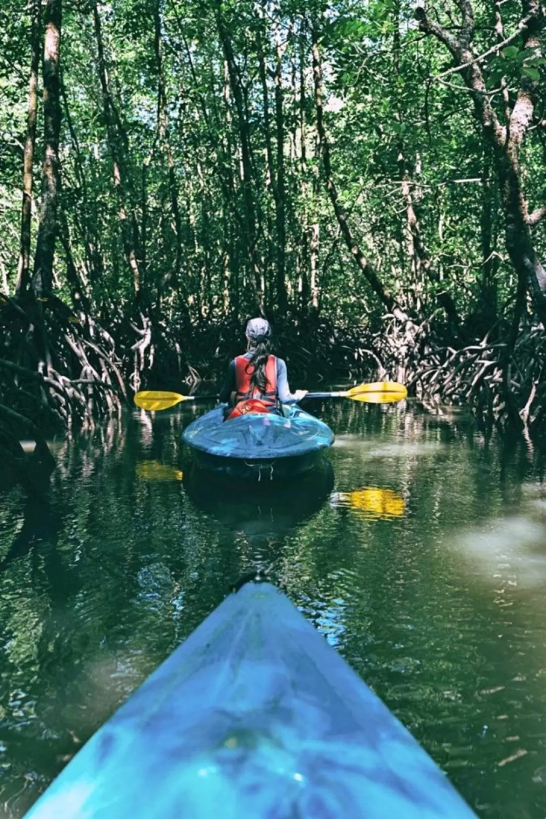 Private Mangrove Kayak Tour with Transfers and Meal in Langkawi