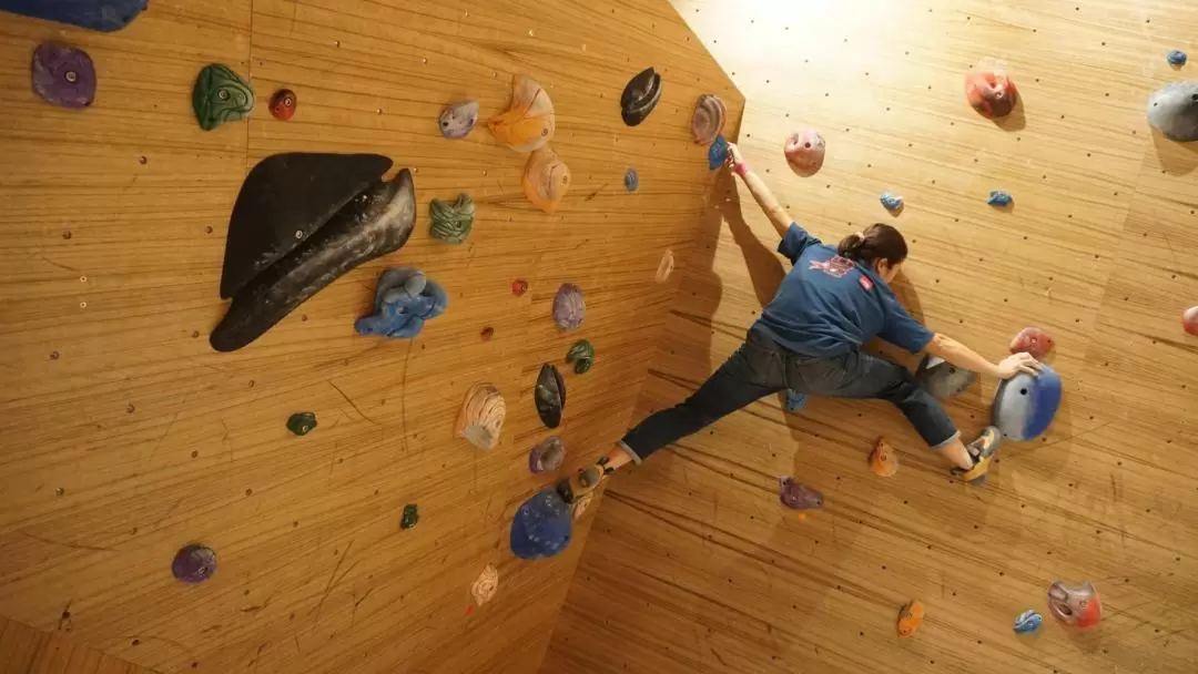 Shenzhen Nerd.Cave Bouldering Hall Indoor Bouldering Experience