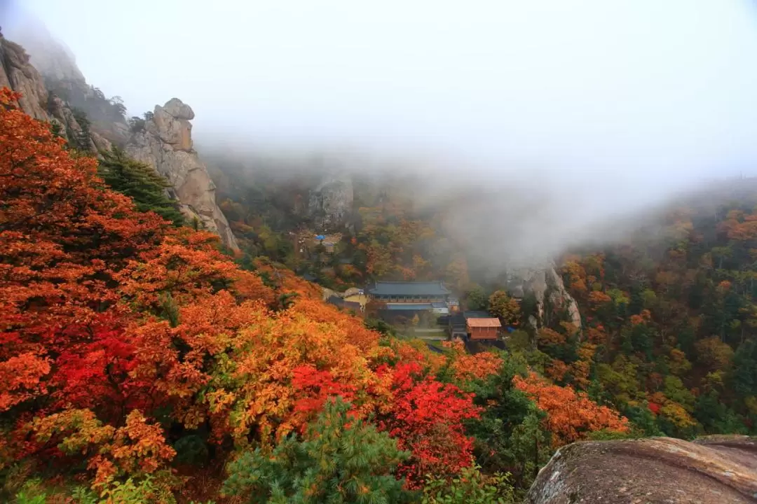 雪岳山・洛山寺 日帰りツアー（ソウル発）