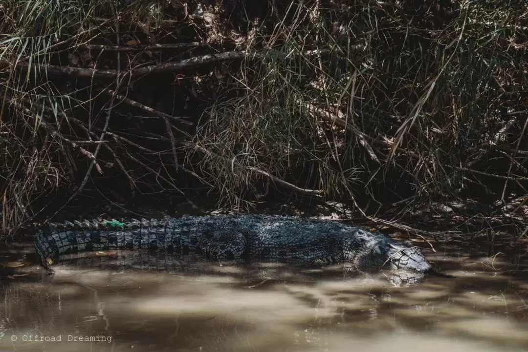 Kakadu National Park Day Tour including Cultural Cruise