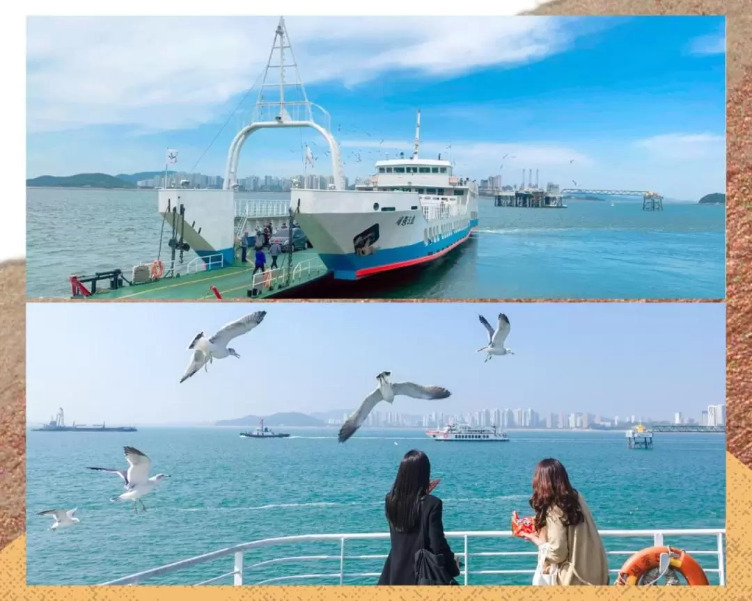 Incheon Cherry Blossom Festival & Chinatown & Seaside Rail bike Tour