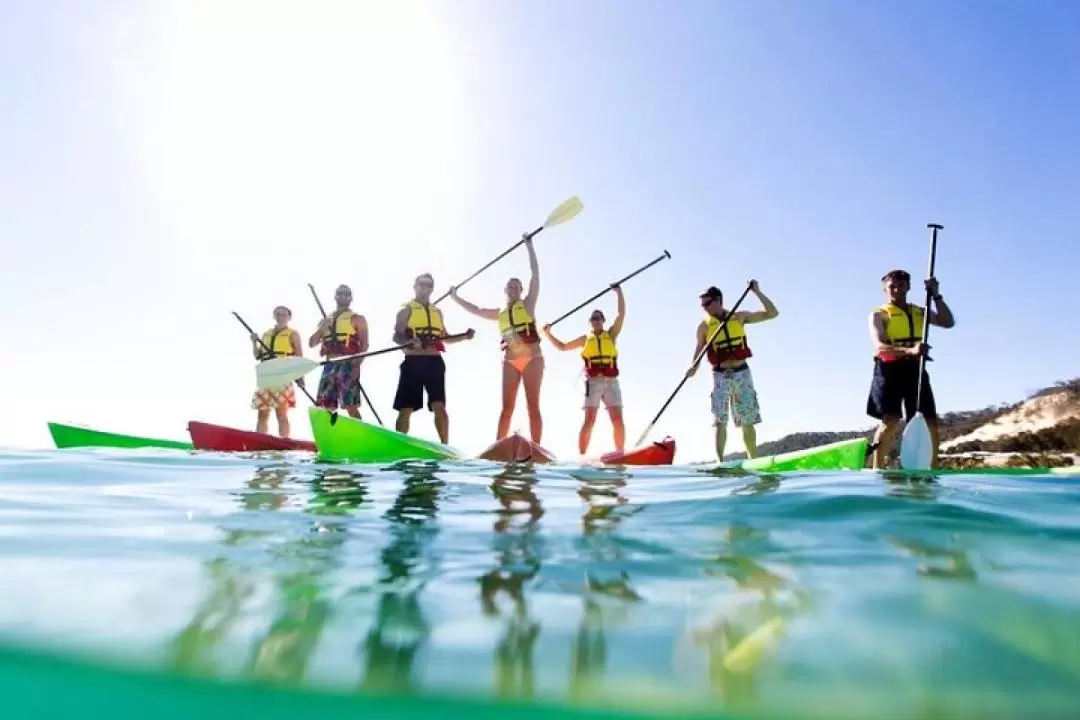 Scuba Diving Experience in Moreton Island