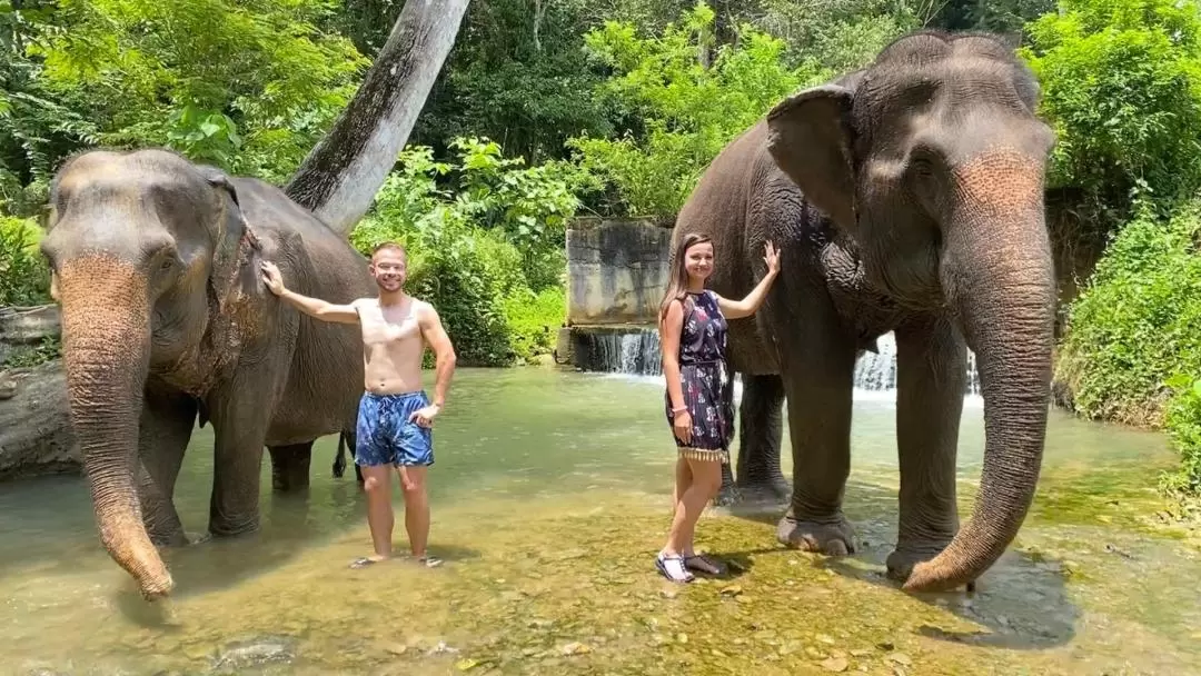 Half-Day Tour to Krabi Elephant Care House Experience