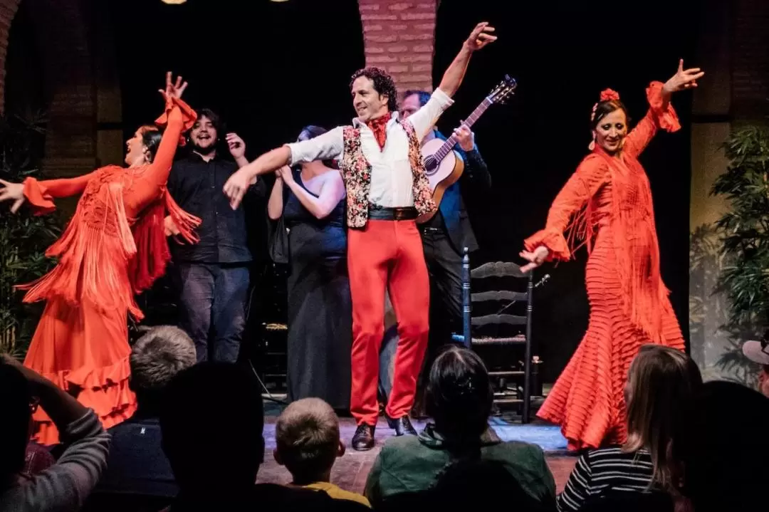The Flamenco Show with optional Dance Museum Admission in Seville