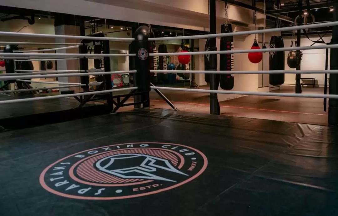 新加坡斯巴達拳擊俱樂部（Spartans Boxing Club）