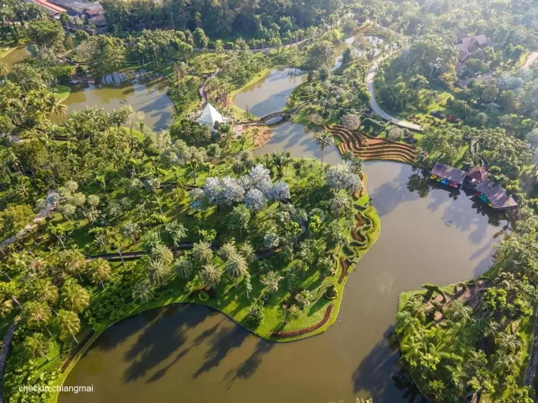 タウィーチョン森林公園 半日ツアー（チェンマイ）