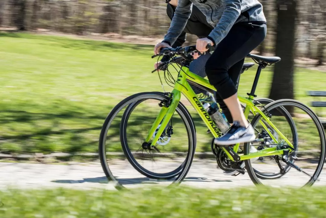 サンディエゴ 自転車レンタル