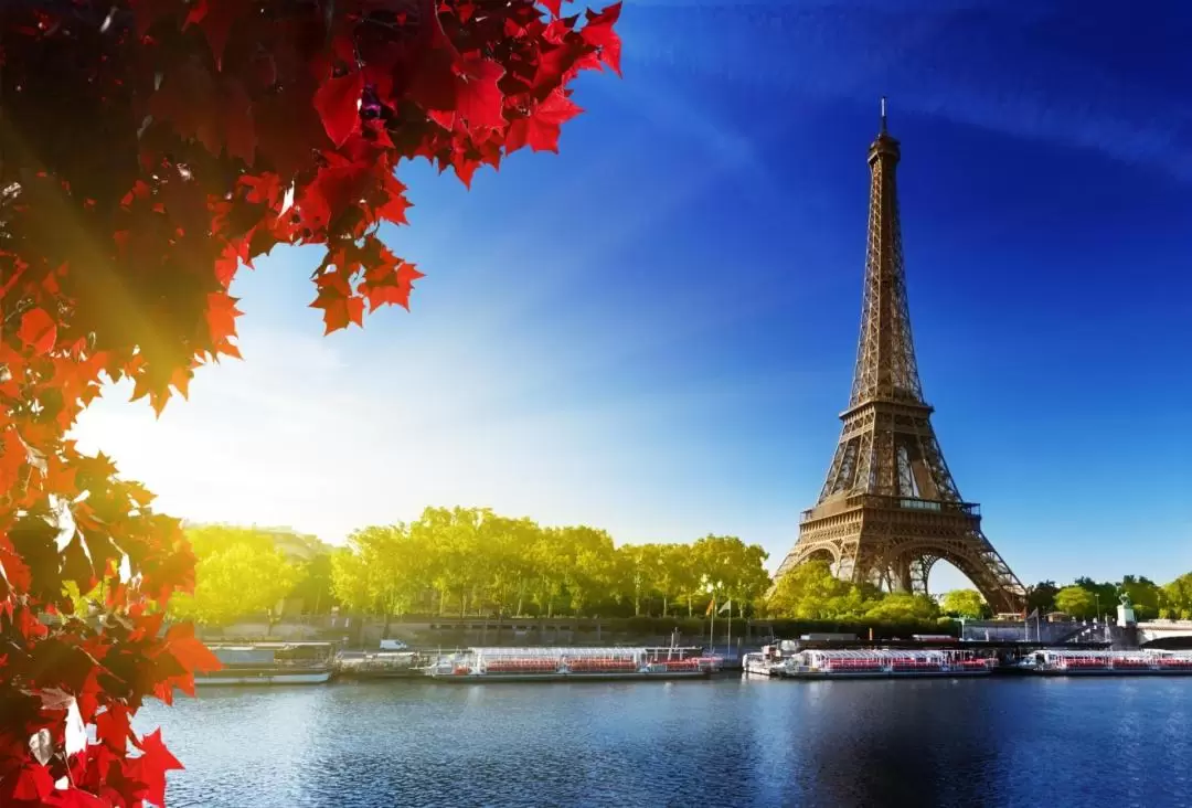 Paris Tour by Rail with Champagne Lunch from London