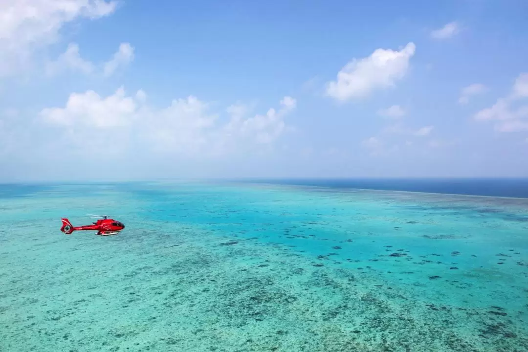 Great Barrier Reef Scenic Flight from Cairns or Port Douglas