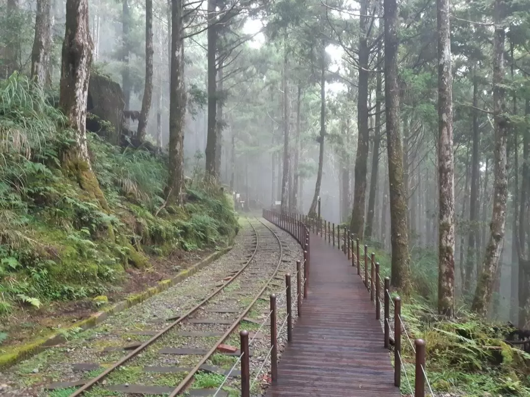 Taipingshan National Forest Recreation Area Day Tour in Yilan