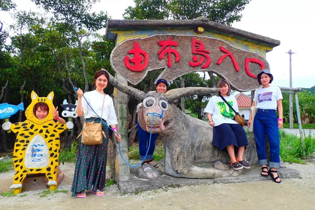 SUP or Canoe at Mangrove Forest and Sightseeing in Yubujima Island 