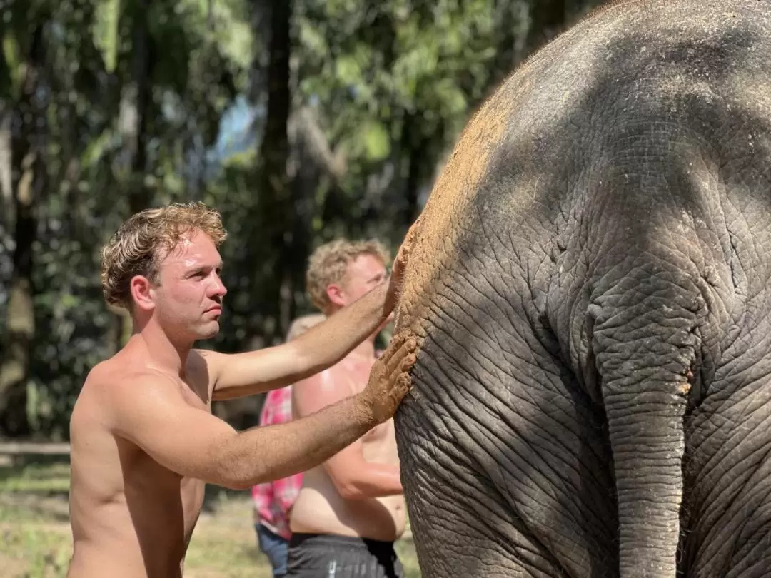 甲米大象保護區（Krabi Elephant Shelter）體驗