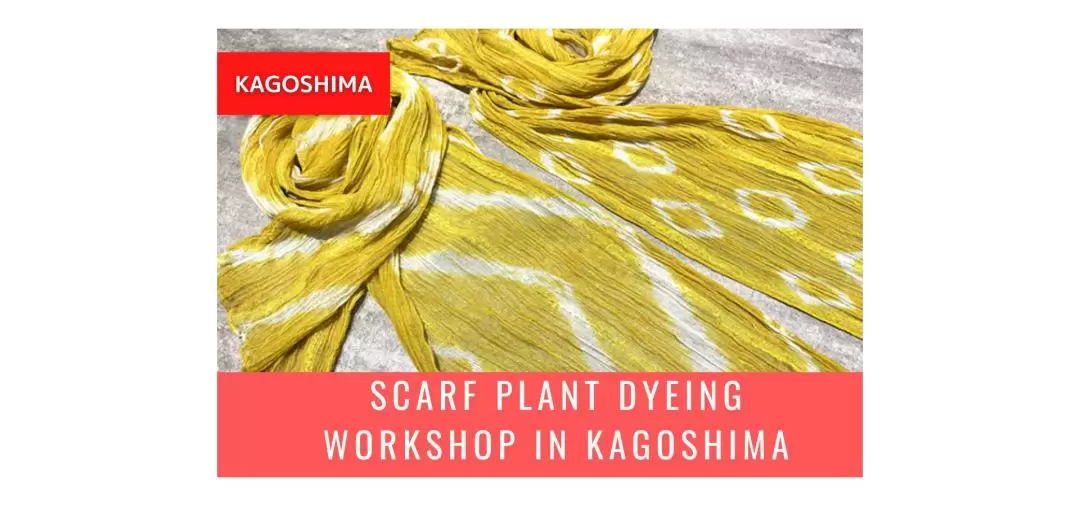 Scarf Plant Dyeing Workshop in Kagoshima