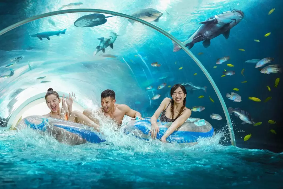 Adventure Cove Waterpark Ticket in Singapore