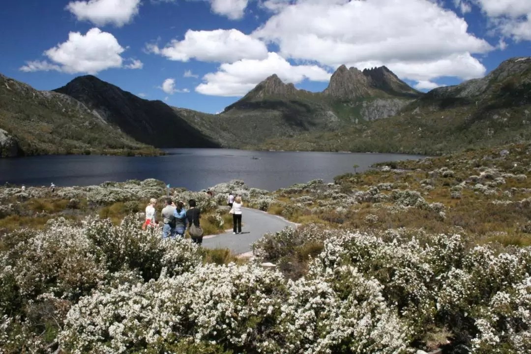 Cradle Mountain Fully Guided Day Tour Departing Launceston