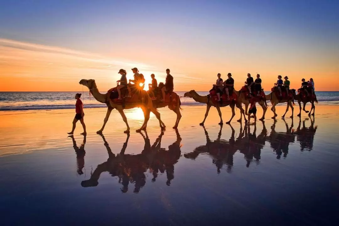 傑爾巴島騎駱駝體驗