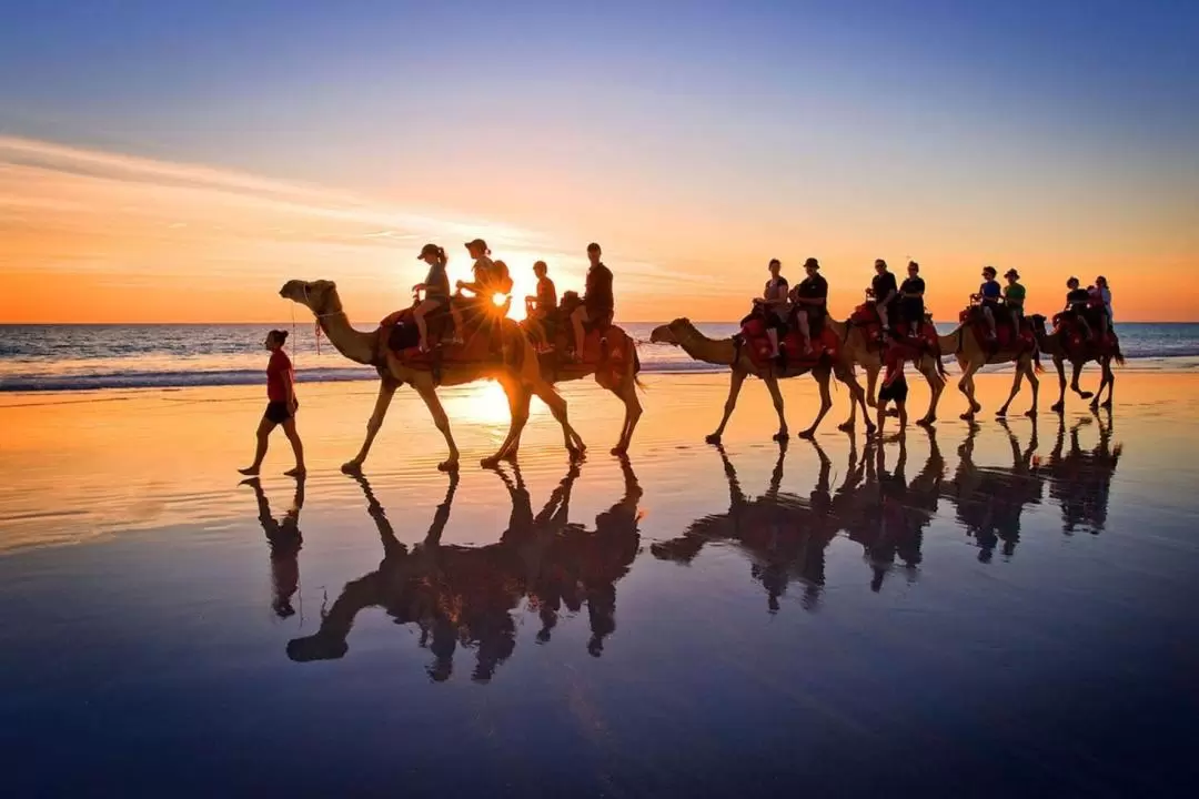 Camel Ride Experience in Djerba