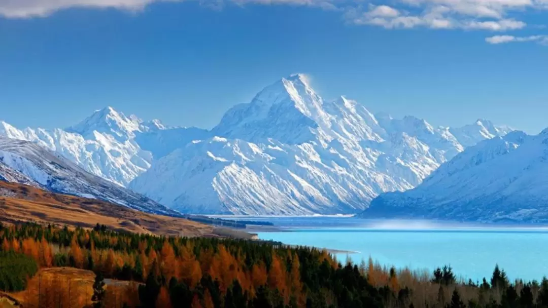 庫克山 & 終極高山體驗（皇后鎮出發）