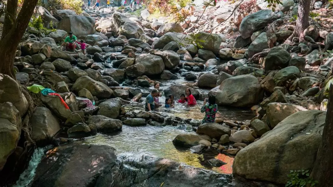 Mambukal Mountain Resort Day Tour