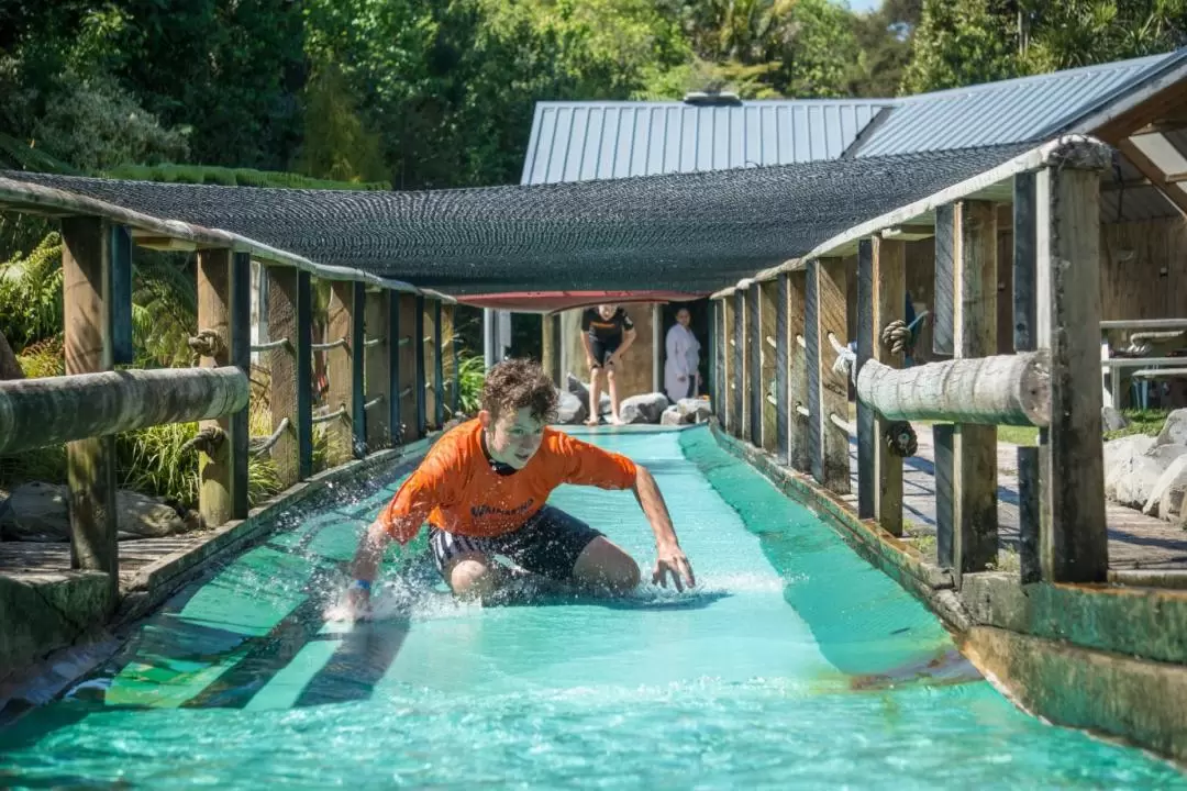 Waimarino Adventure Park Admission Ticket in Tauranga