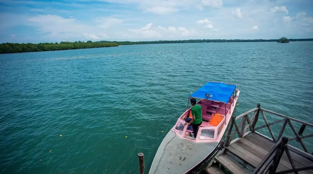 Bintan Mangrove / Fireflies Tour