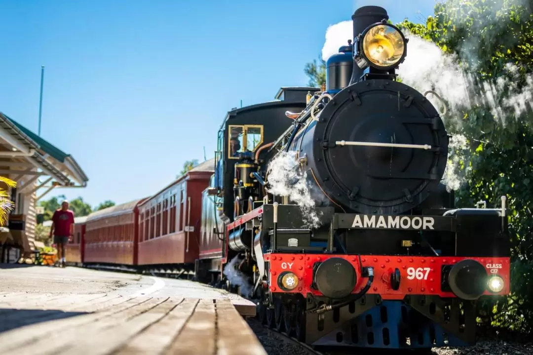 Mary Valley Rattler Train Experience from Gympie