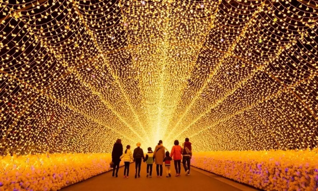 Nagashima Mitsu Outlet & Nabana no Sato Winter Illumination Bus Tour