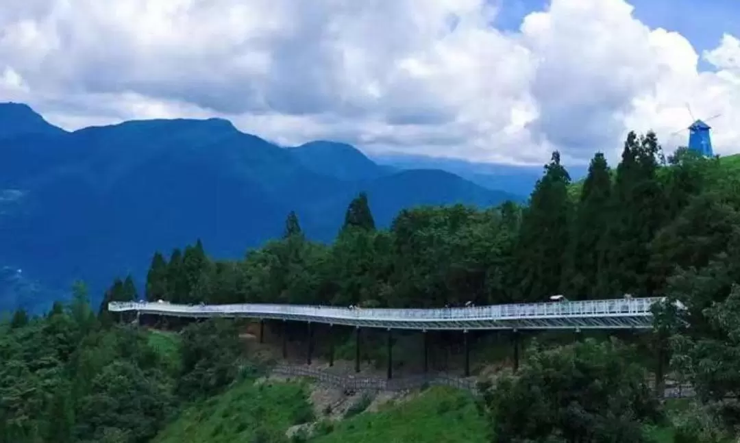 清境農場 日帰りツアー（台中発 / ホテル送迎付き）