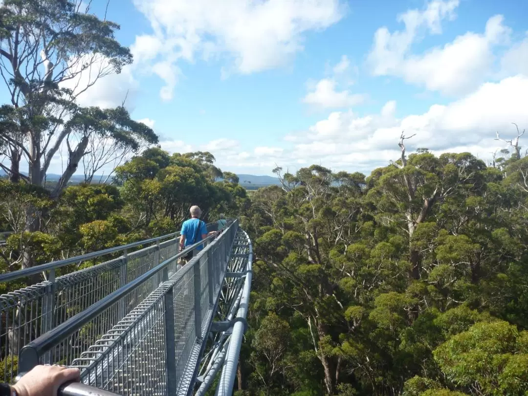 4D3N Albany ANZAC Tree Top Walk & Margaret River Tour