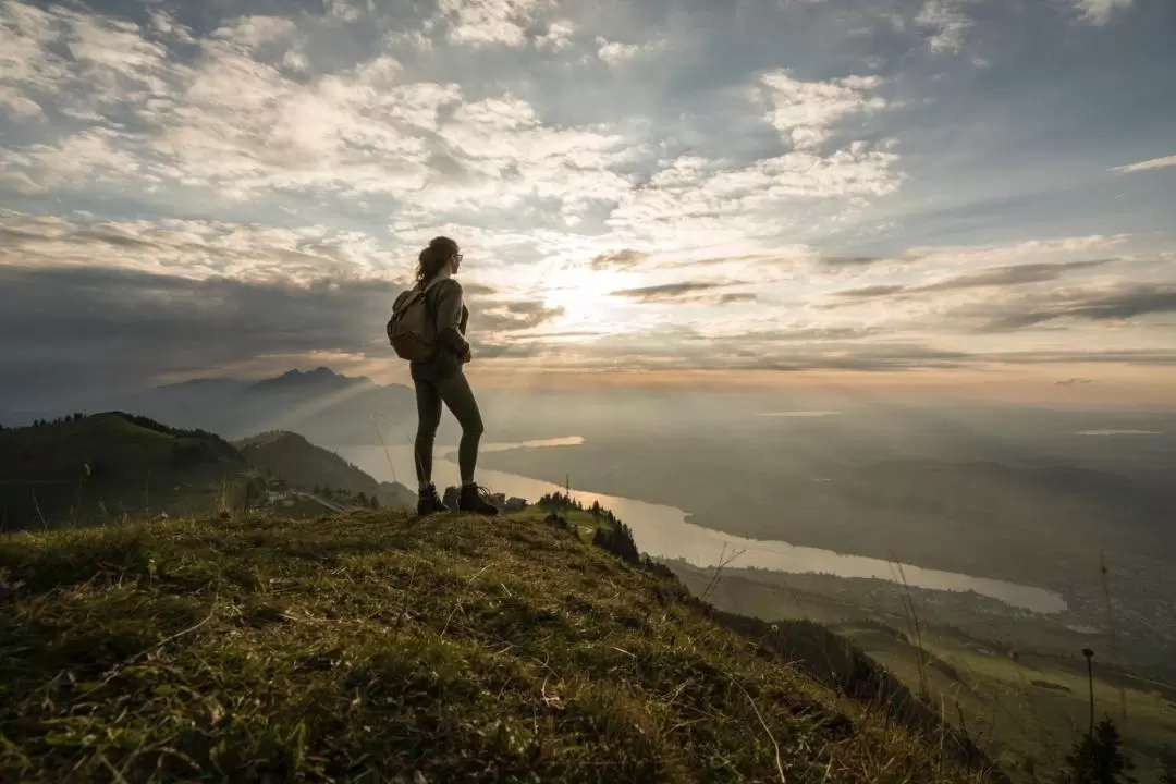 Rigi Round Trip By Boat and Train From Lucerne