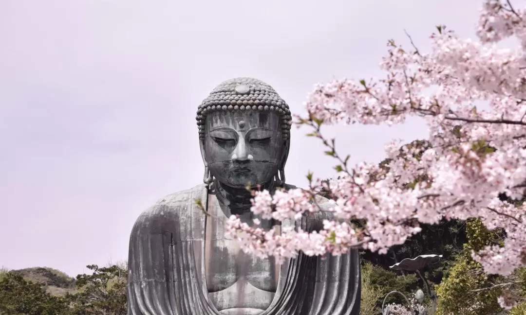 Kamakura and Enoshima Day Tour from Tokyo