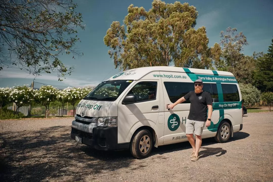 Yarra Valley Hop-On-Hop-Off Bus - Green Route