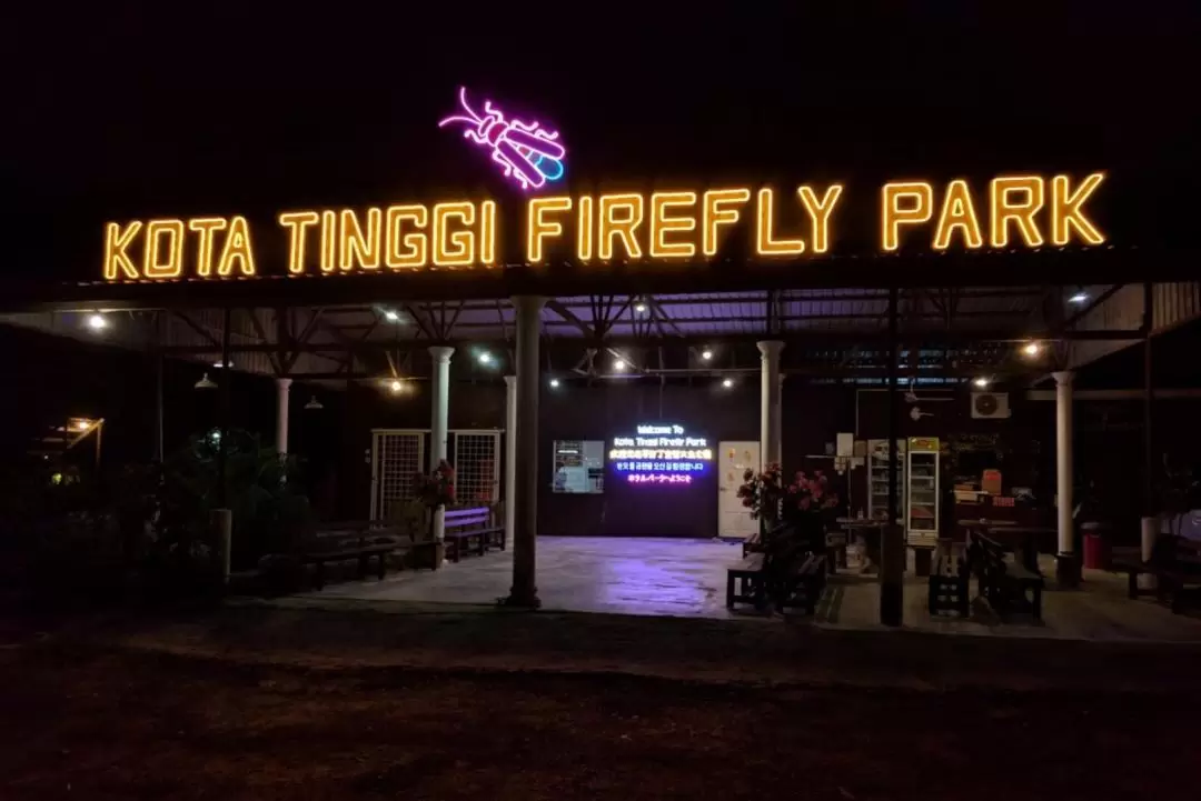 Firefly River Cruise Tour in Kota Tinggi Johor