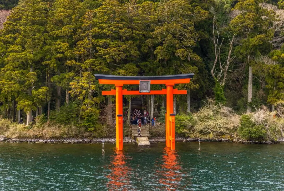 Hakone Shrine & Lake Ashi & Owakudani Private Car Tour 