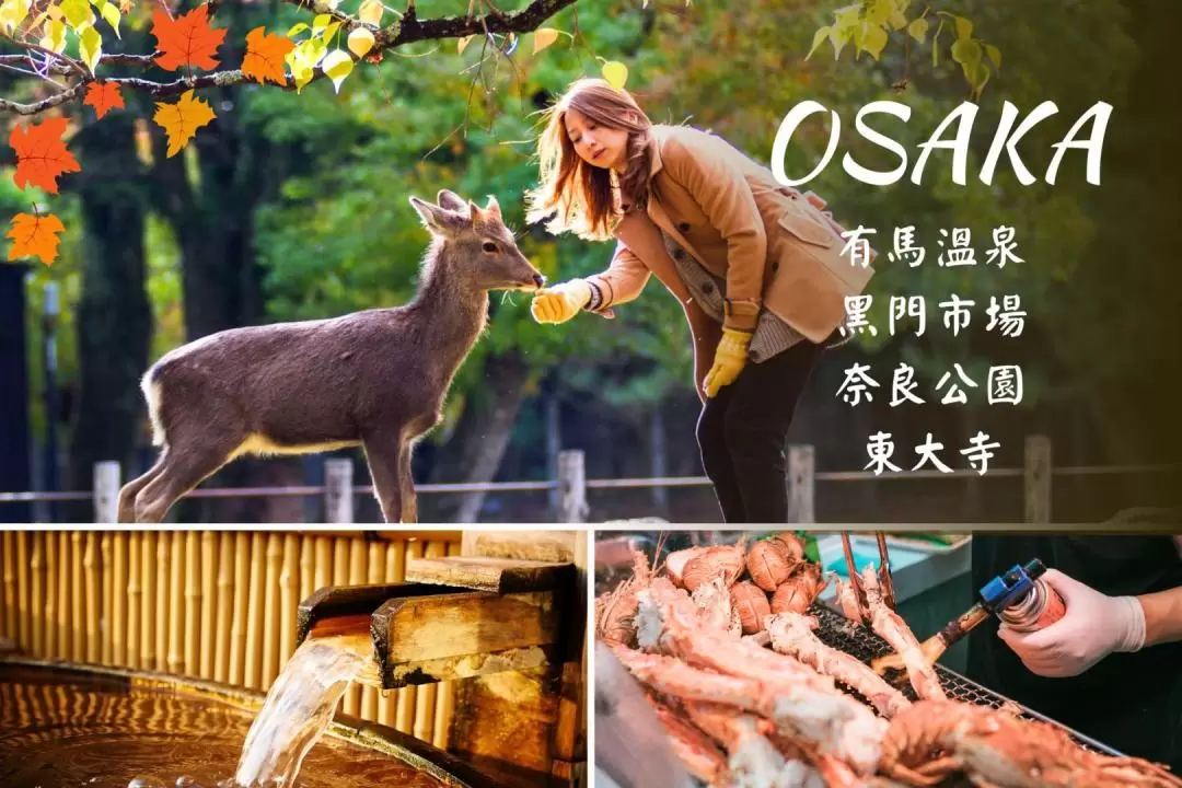 Sanda Outlet Market, Nara Park & Todaiji Temple Day Tour from Osaka