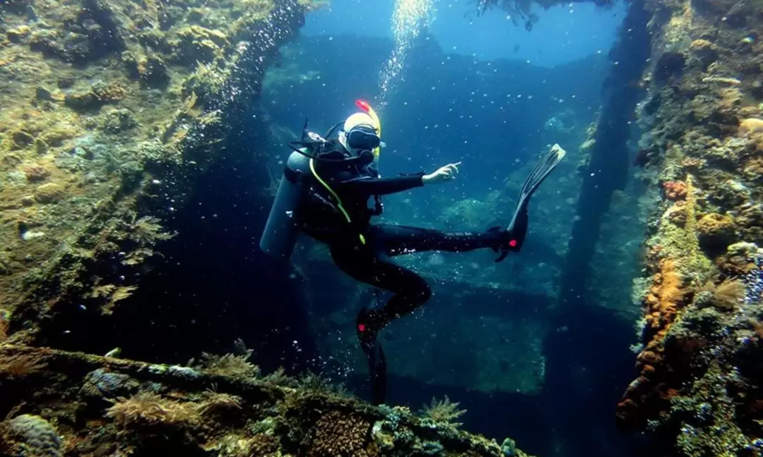 バリ 体験ダイビングツアー（Bali Diving提供 / ライセンス不要）