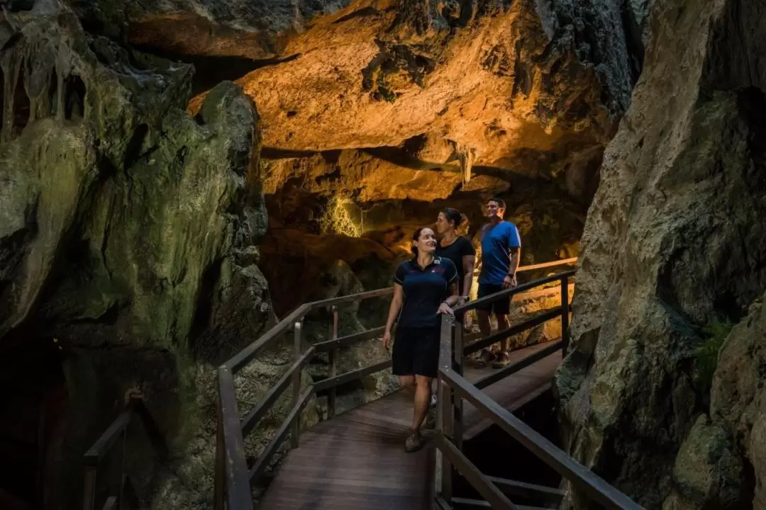 摩羯洞大教堂洞穴（Cathedral Cave）探索之旅