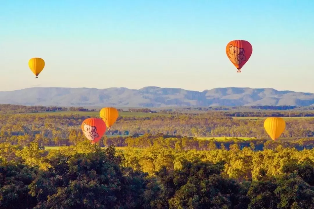 Hot Air Balloon Experience in Cairns and Port Douglas