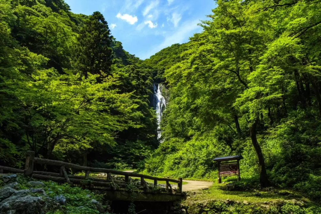 Kanba瀑布 & Bitchu Kanachi洞穴之旅（含岡山午餐）- 大阪出發