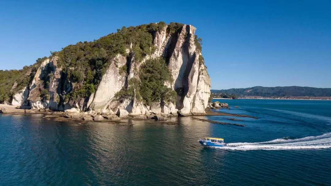 Glass Bottom Boat Cruise at Cathedral Cove in New Zealand