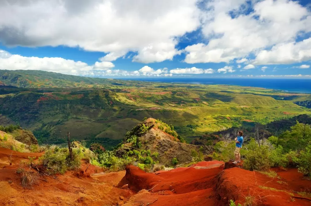 考艾島 Waimea 峽谷＆Koke’e 可愛島冒險之旅