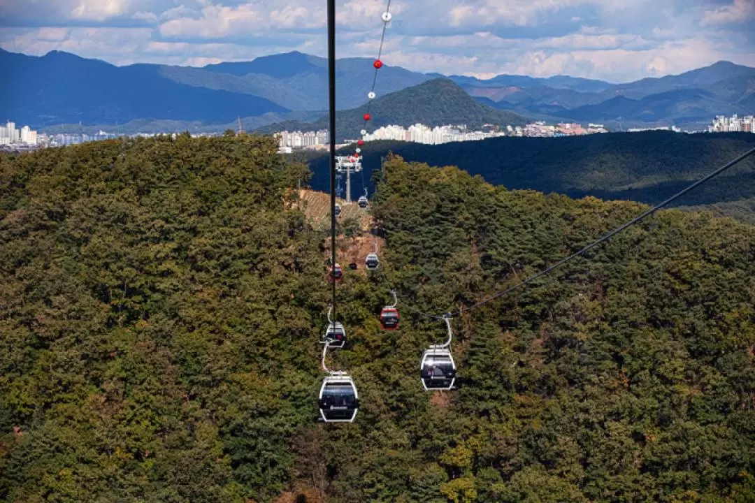 Samaksan Mountain Lake Cablecar + Alpaca + Nami Island