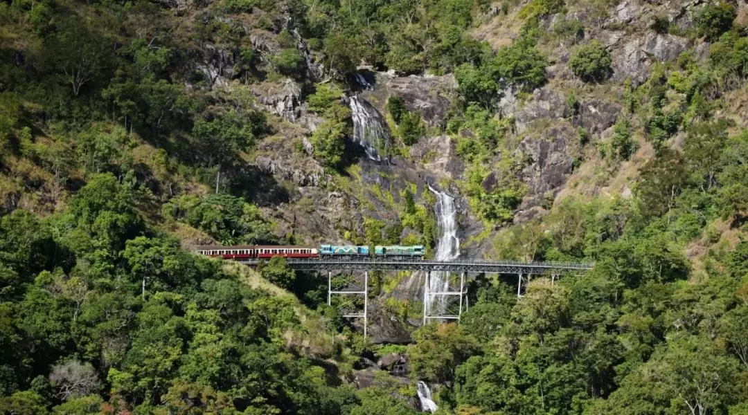 キュランダスカイレール・高原列車 日帰りツアー（ケアンズ発）