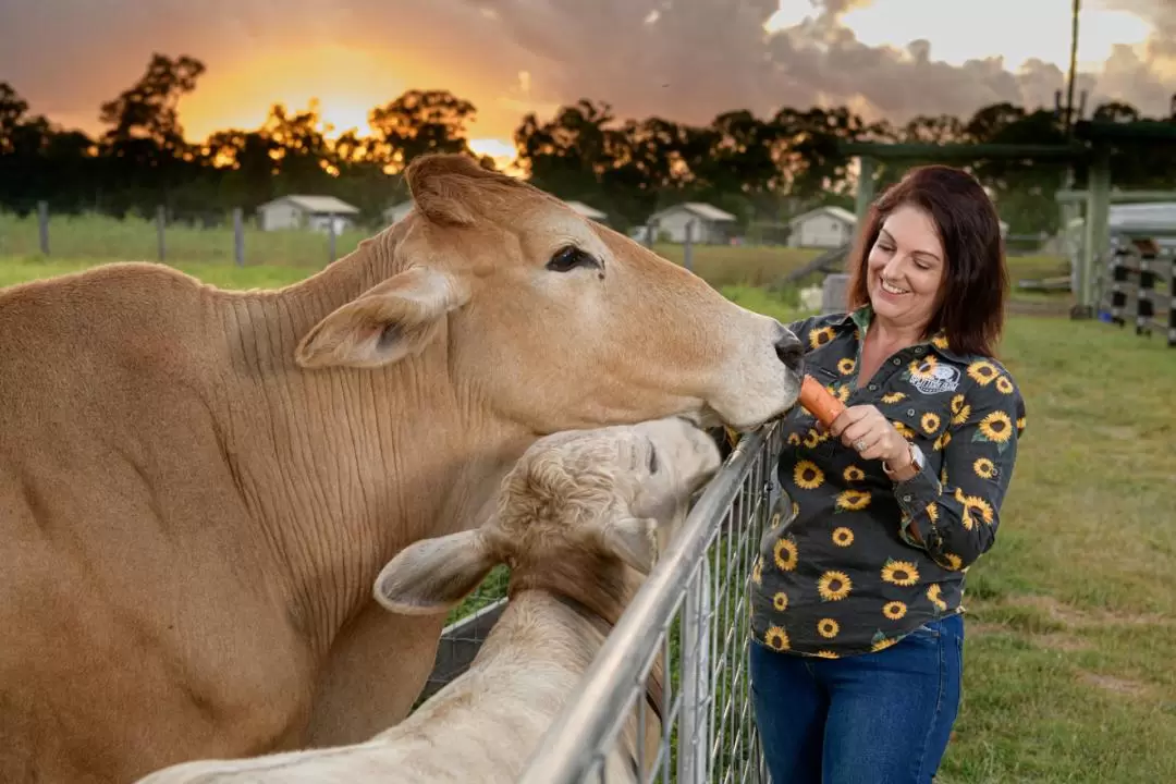 Splitters Farm Ticket in Bundaberg