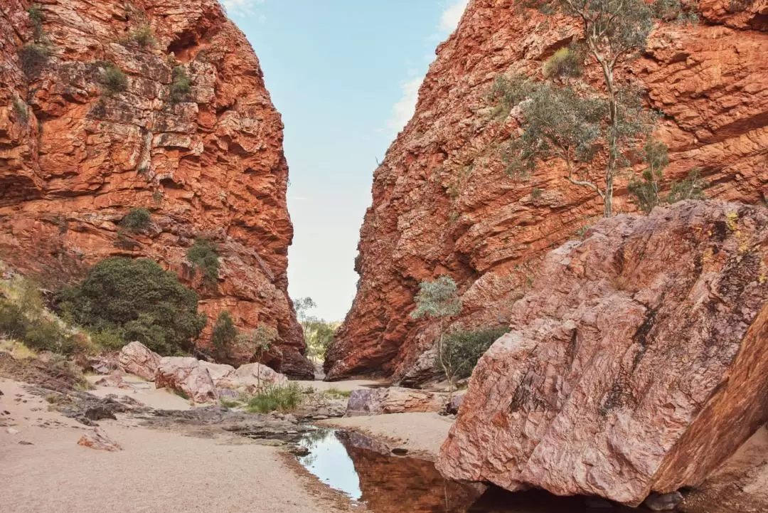 Best of Alice Springs Day Tour