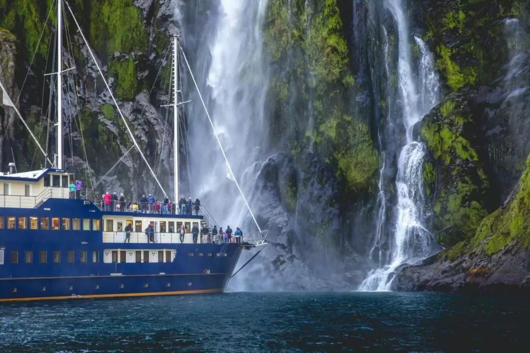 Milford Sound Cruise by RealNZ