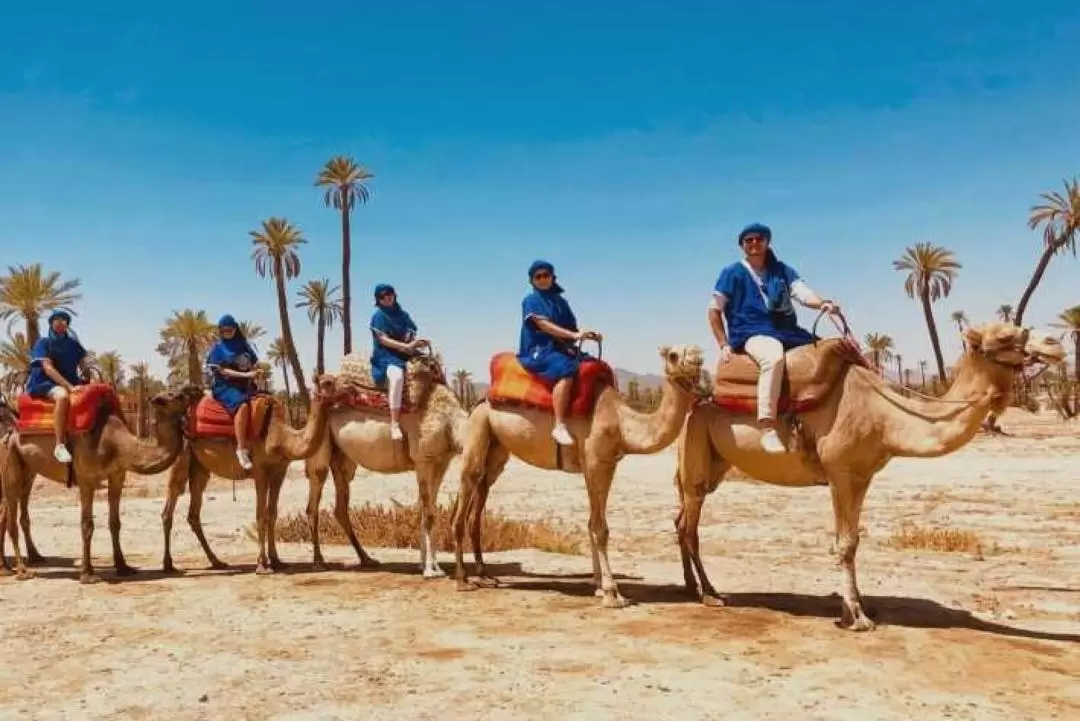 馬拉喀什2小時沙漠越野車＆騎駱駝體驗