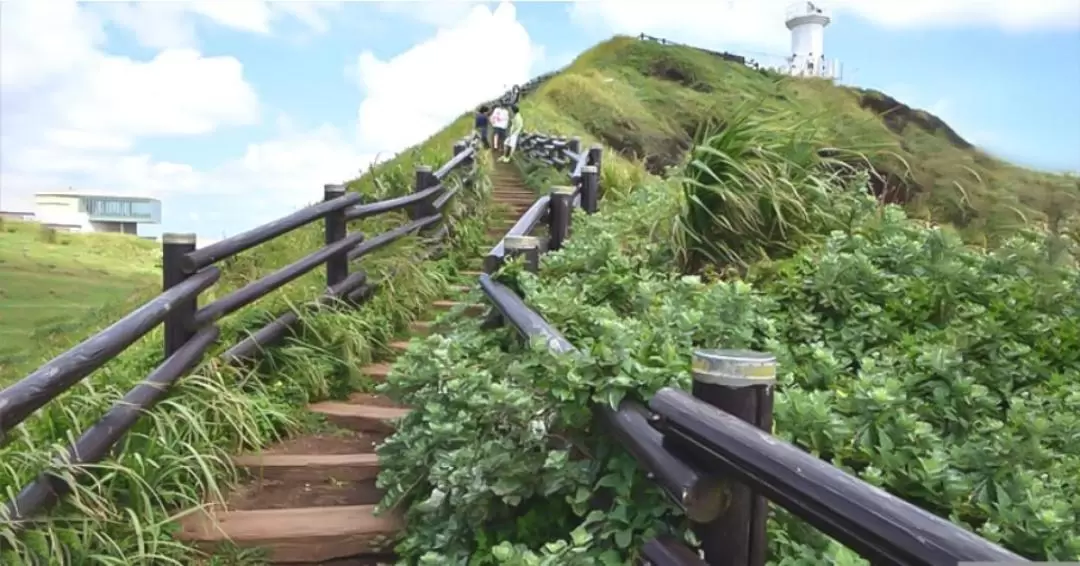 韓國濟州島東部&南部必游景點｜牛島＋城山日出峰＋涉地可支等浪漫韓劇打卡路線 (專業中文司機)